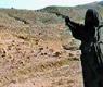 صورة من الانترنت