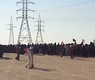 صورة من المسيرة