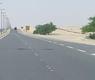 ارشيف