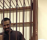 صقر الحشاش