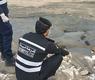شرطة البيئة