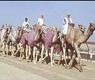أرشيف