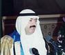 فاضل النصر الله