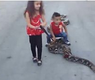 الطفلة تتنزه مع الافعى