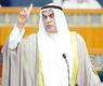 النائب احمد السعدون