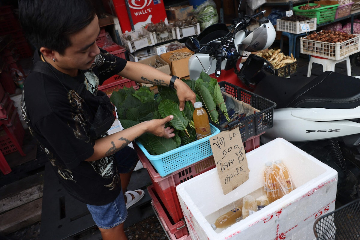 أوراق وشراب القرطوم معروضة في أحد الأسواق في بانكوك تايلاند - 21 سبتمبر 2021 - AFP